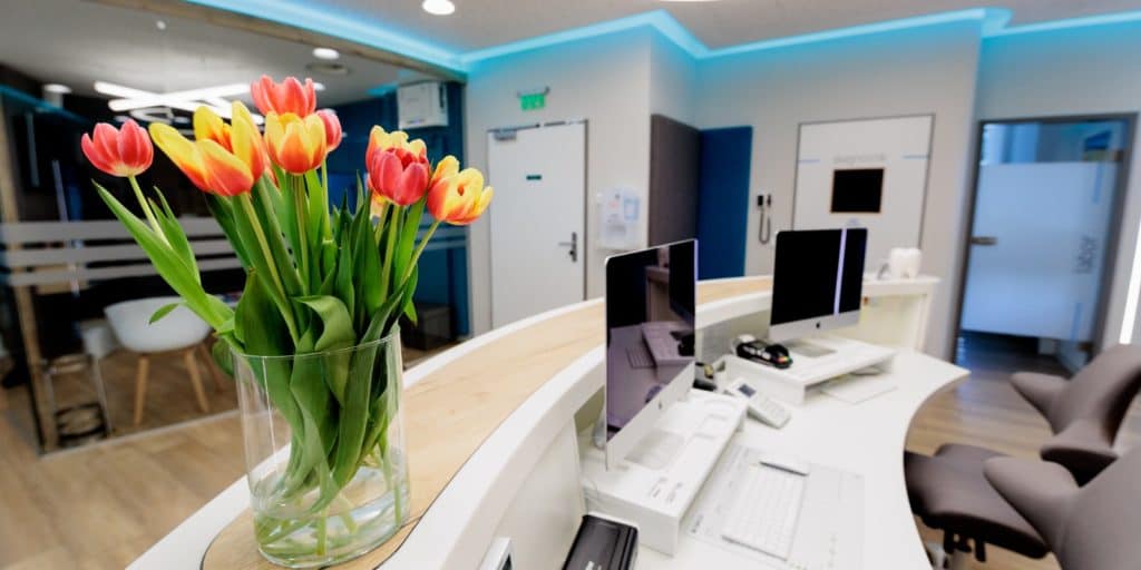 Tulpen in einer Vase auf einem Schreibtisch in einer Zahnarztpraxis am Zahnarzt Königsplatz, Augsburg.