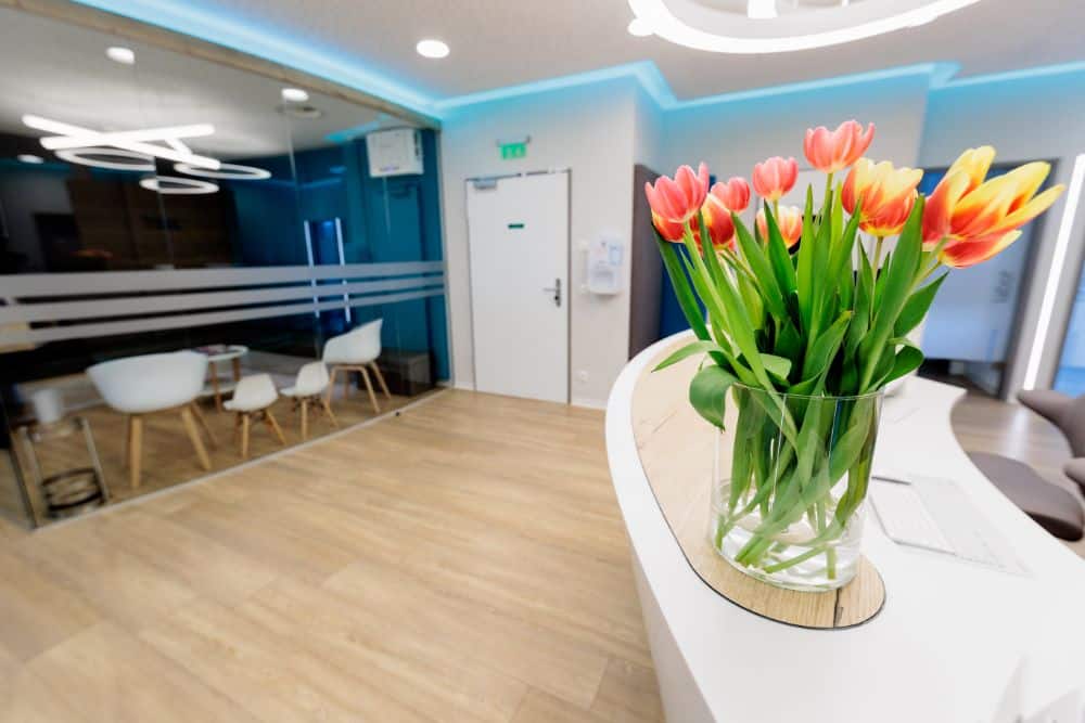 Ein Empfangsbereich mit Blumen in einer Vase begrüßt die Besucher der Zahnarztpraxis Zahnarzt Königsplatz in Augsburg.