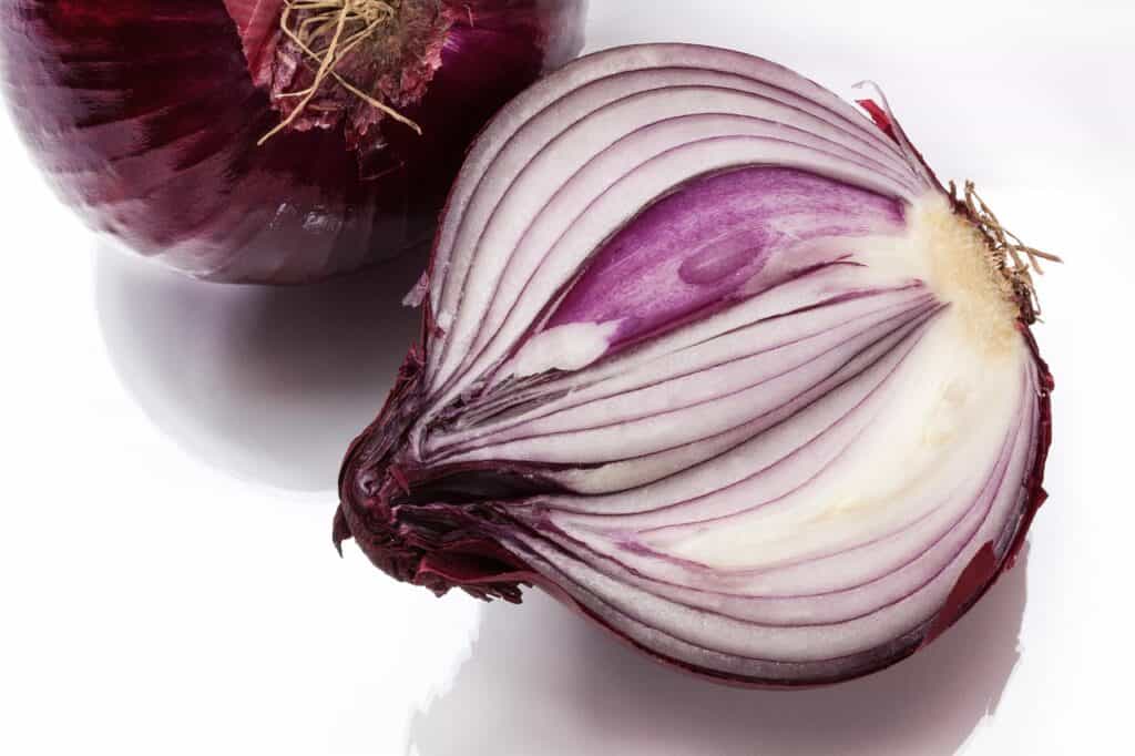 onion, allium cepa, red onion