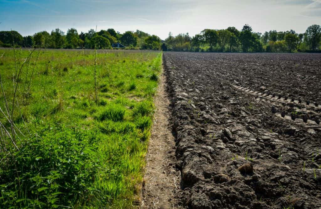 a field with dirt and grass